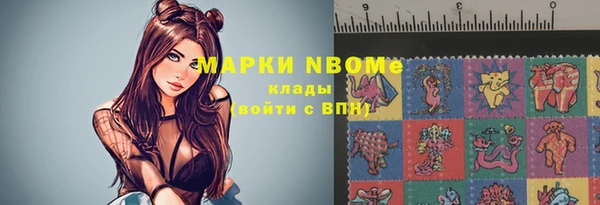 прущие грибы Каменск-Шахтинский