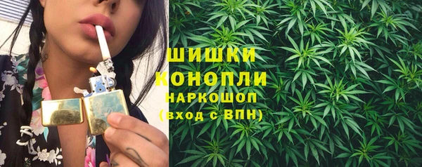 прущие грибы Каменск-Шахтинский