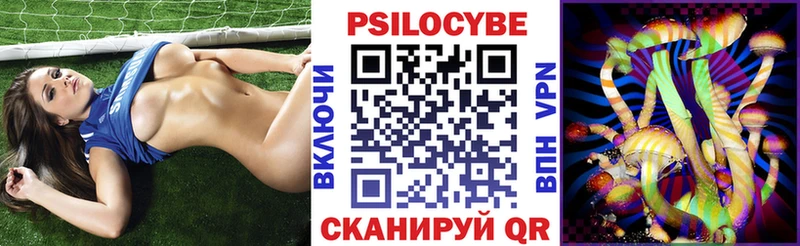 Псилоцибиновые грибы Cubensis  Купить  Шлиссельбург 